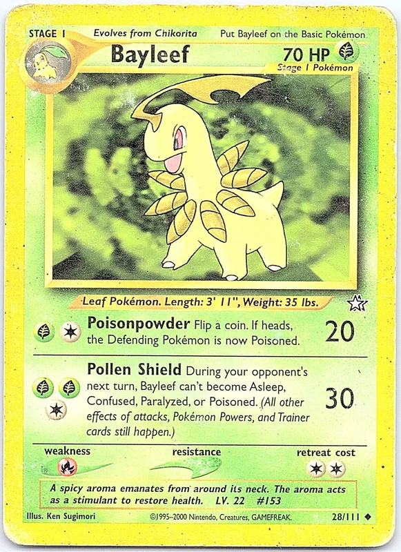 Bayleef (NG 28)