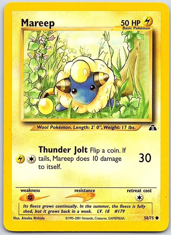 Mareep (NDI 58) bild 1